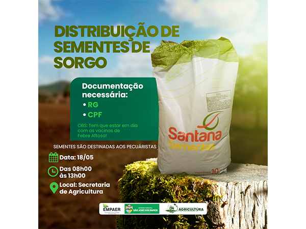 Distribuição de semente de SORGO